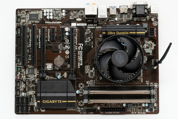 Découvrez les bases de python avec une formation gratuite !